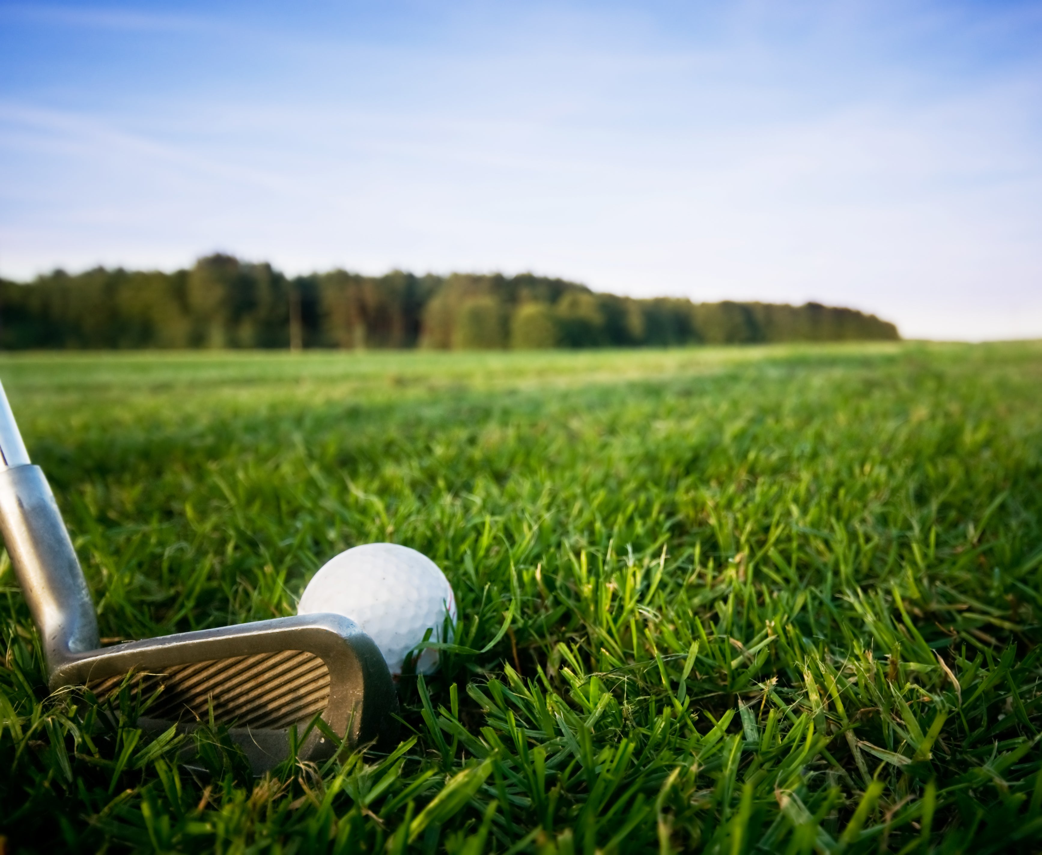 2026 Western Ontario Chapter Golf Tournament - Individual Player - Member