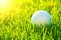 2026 Western Ontario Chapter Golf Tournament - Hole Sponsorship
