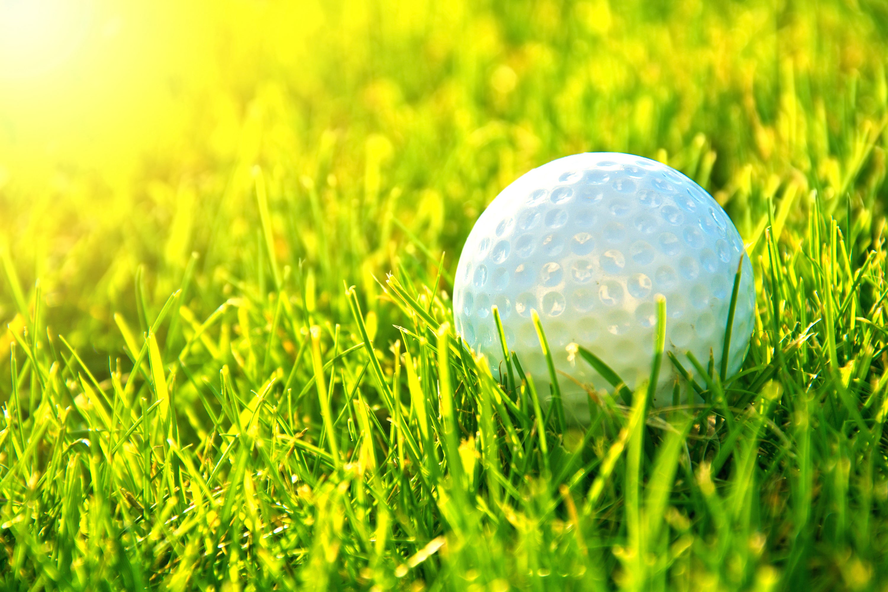 2026 Western Ontario Chapter Golf Tournament - Hole Sponsorship