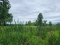 2026 Niagara Chapter Golf Tournament - Event Sponsorship